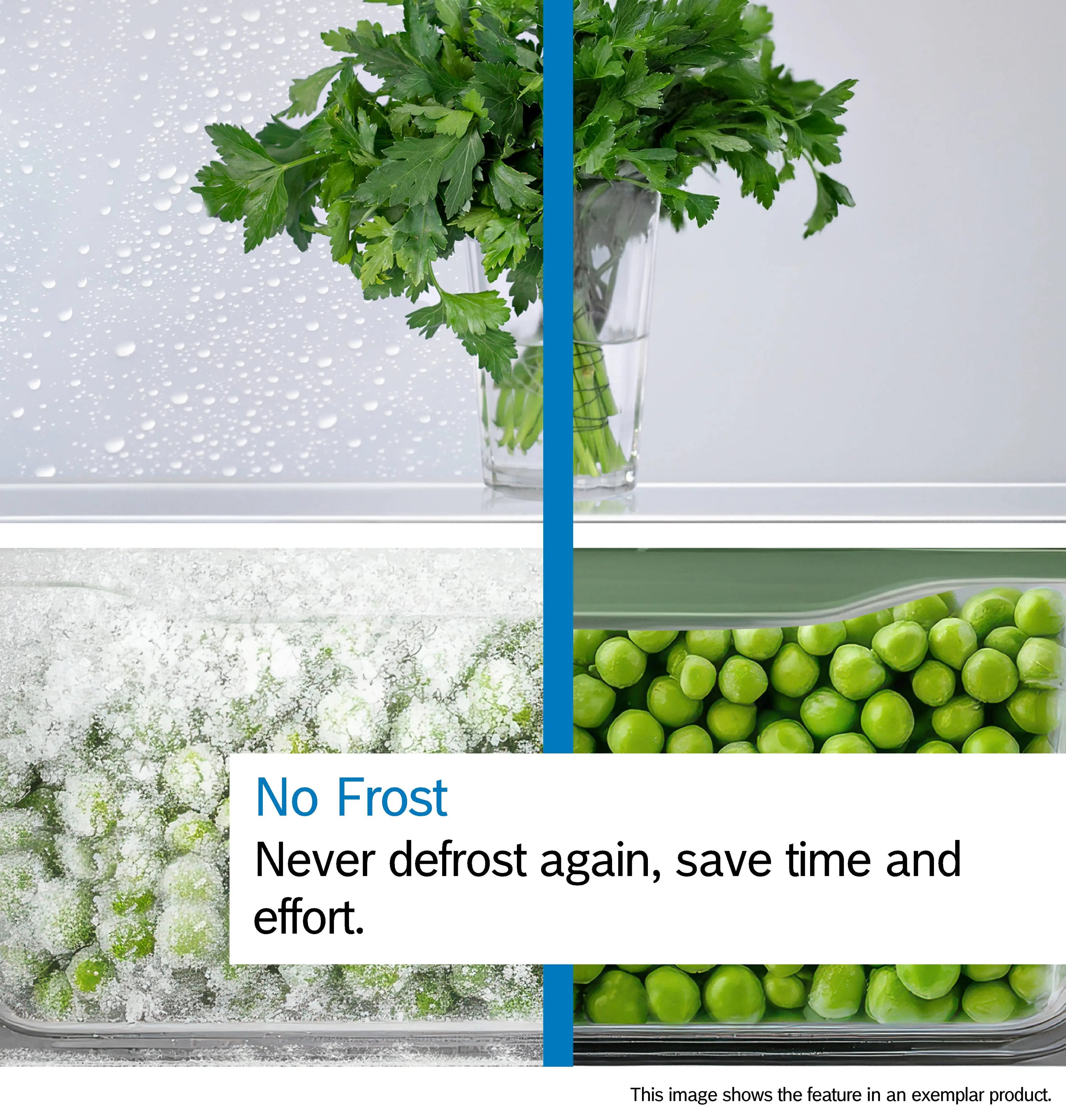 Refrigerator No Frost Feature
