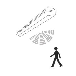 Brennans 55W LED Corrosion Proof 5FT 8250LM - S55WTW5FT