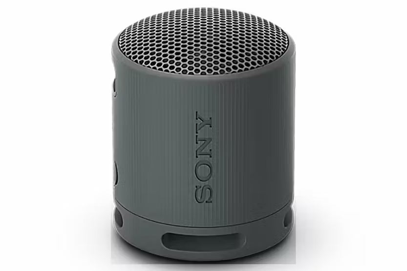Gray Sony speaker