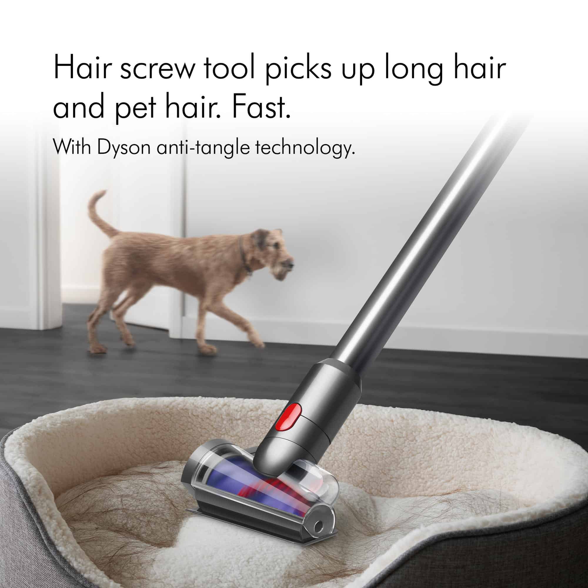 Dyson V15 Absolute Detect  | V15 Absolute